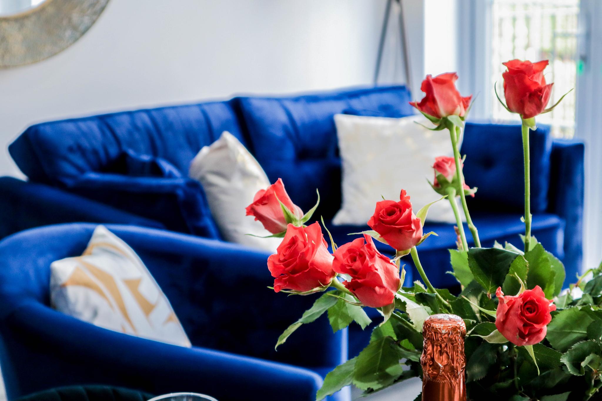 Luxurious Apartments4