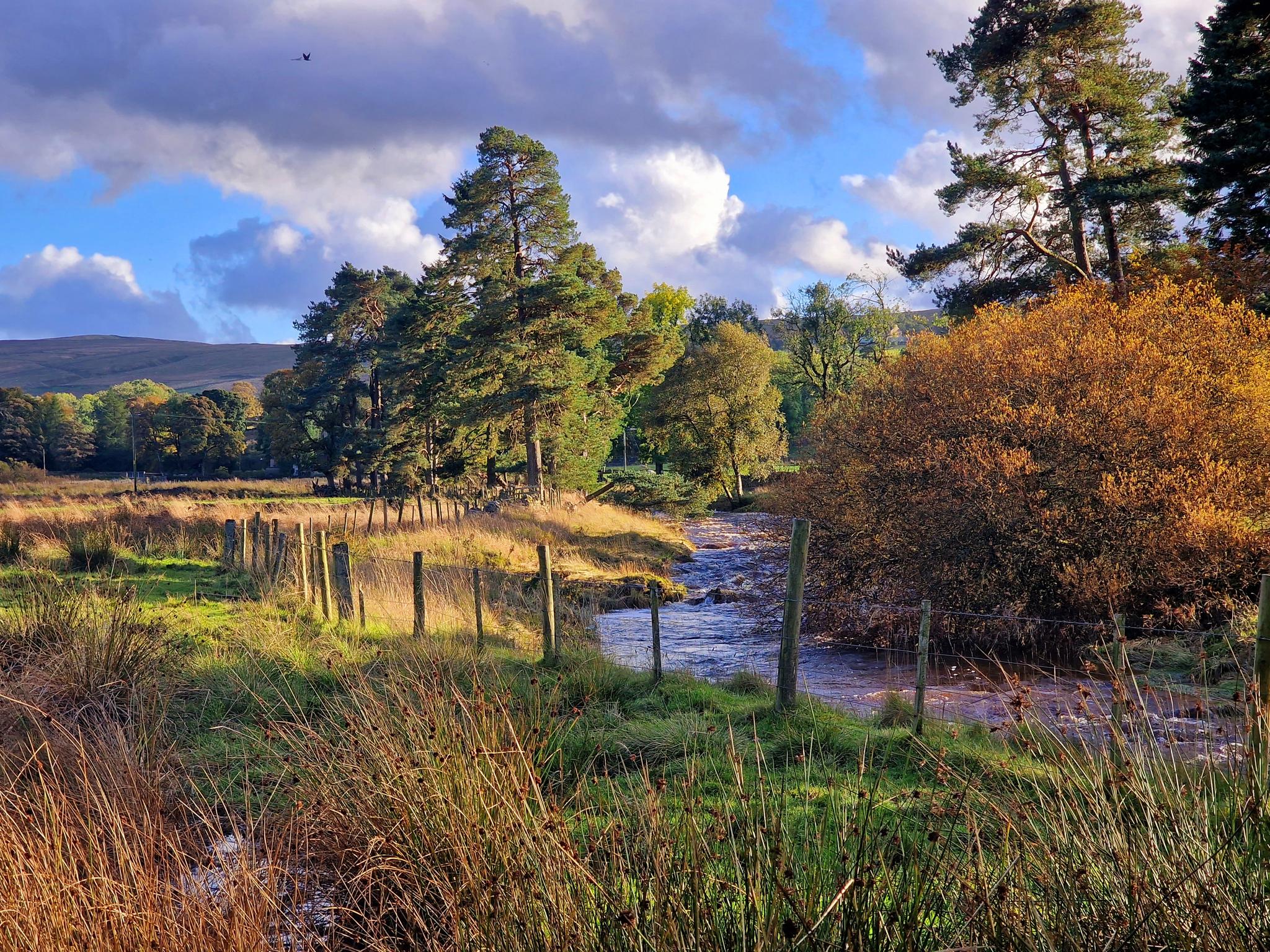 Colleton Cottage at Lovelady Shield6